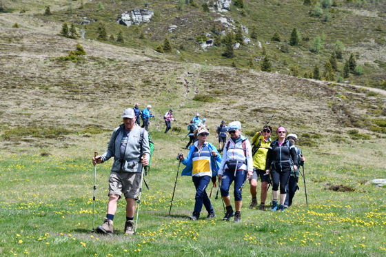 ...weiter in die Kapelleralm...