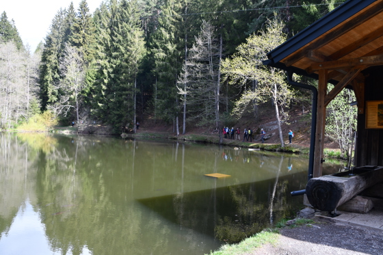 Zwergensee
